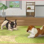 Nintendogs + Cats