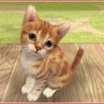 Video ingame de Nintendogs + Cats