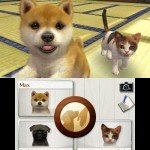 Carátulas e imágenes de Nintendogs + Cats